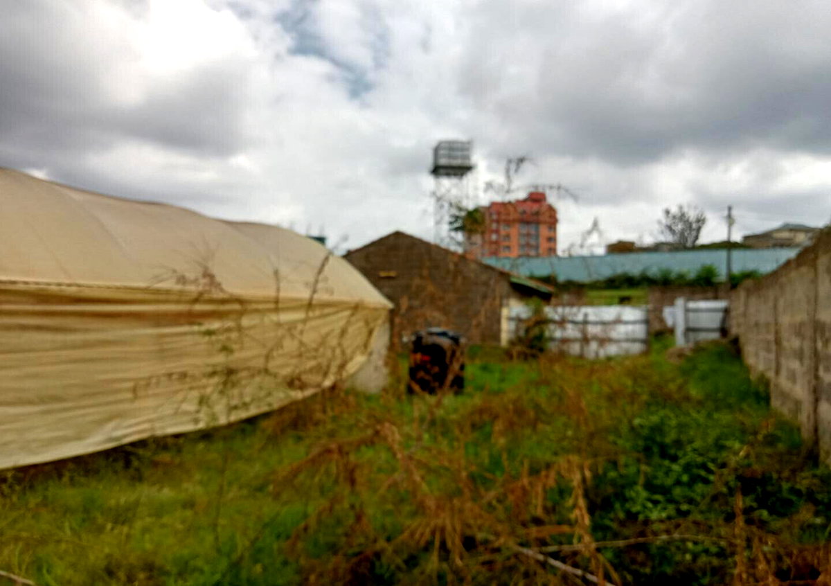 KSh 14M Kahawa Plot