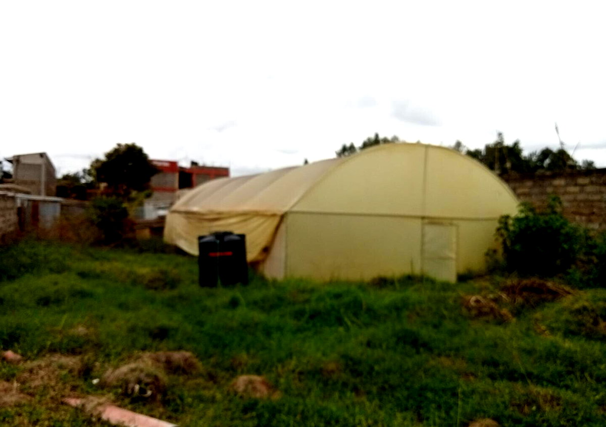 KSh 14M Kahawa Plot