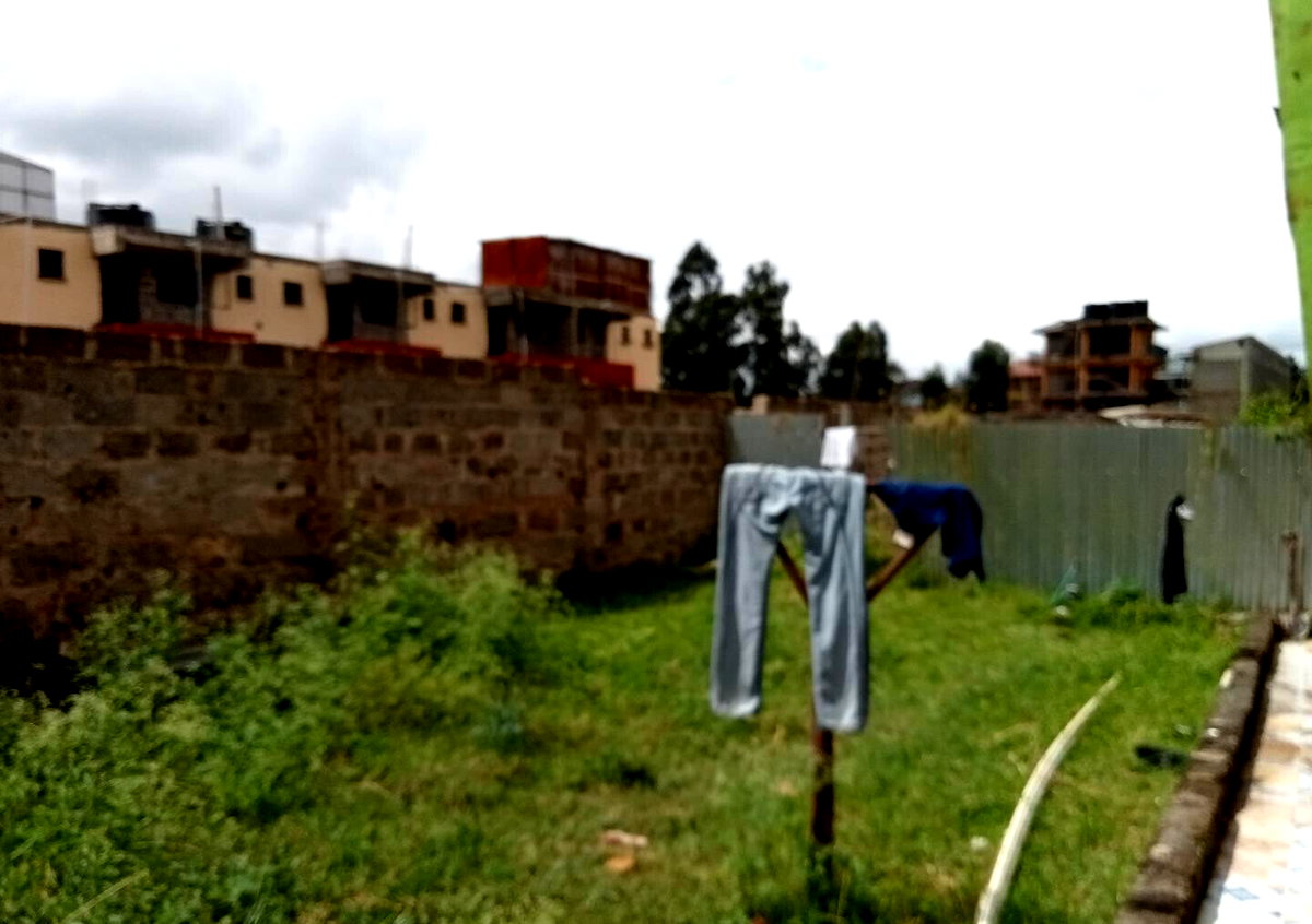 KSh 14M Kahawa Plot