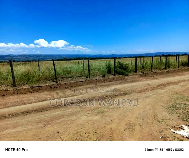 50*100plots in Mutaita Stima Line