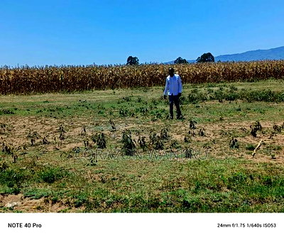 50*100plots in Mutaita Stima Line - Image 3