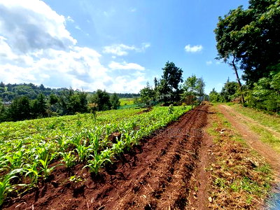 Tigoni 1/2 Residential Plot for Sale In - Image 3