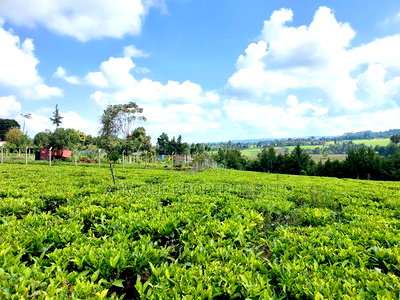 Tigoni 1/2 Residential Plot for Sale In - Image 6