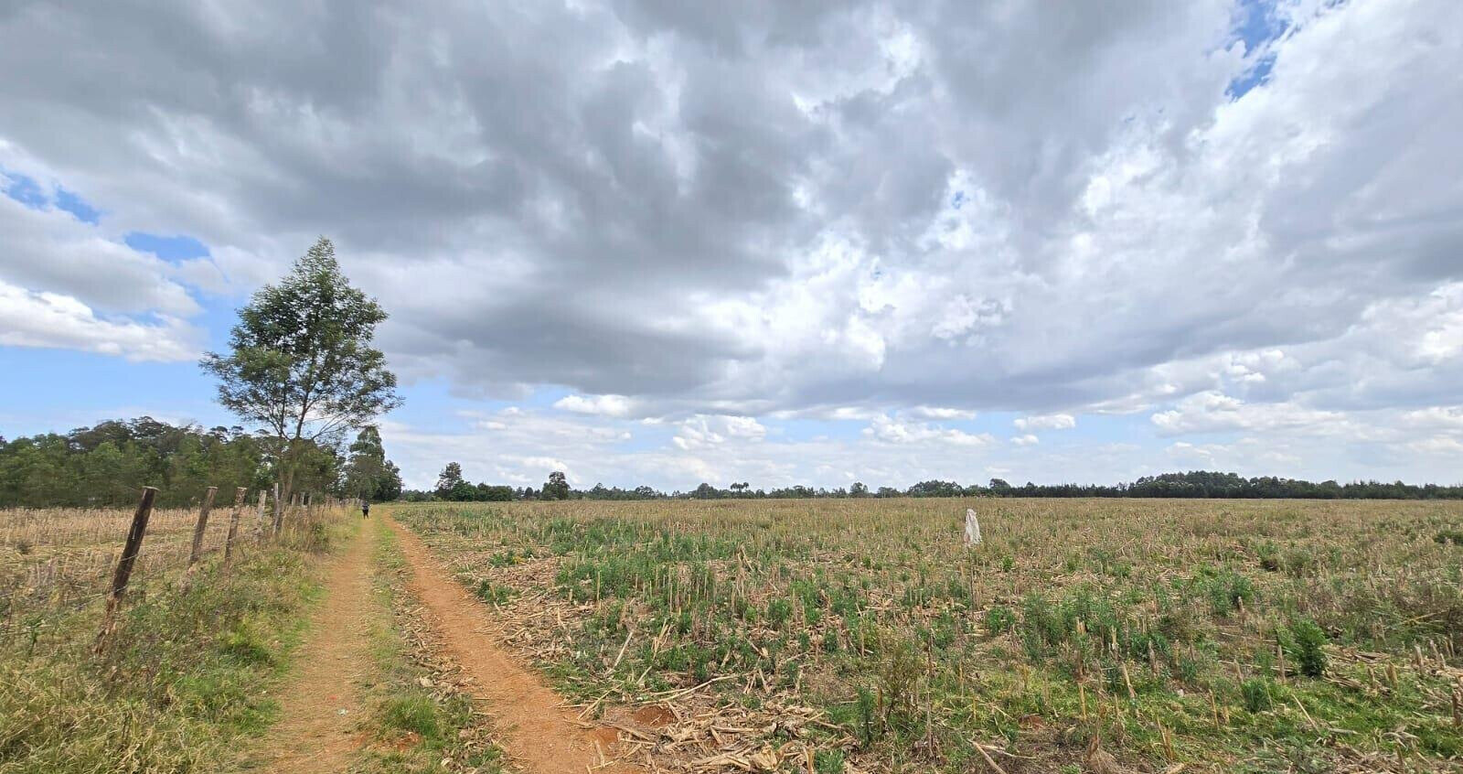 KSh 1.25M Plot in Gated Community