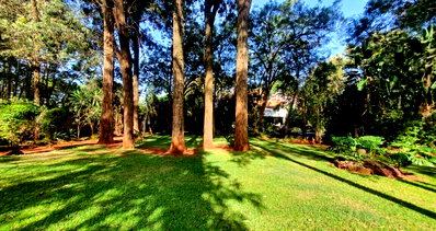 1-Acre Karen Plot at KSh 120M