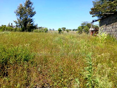 Prime Full Eighth Acre 800m Off Tarmac in Kiserian - Image 2