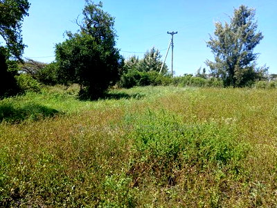 Prime Full Eighth Acre 800m Off Tarmac in Kiserian - Image 1