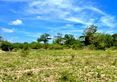 13-Acre Land with Road Frontage - Malindi