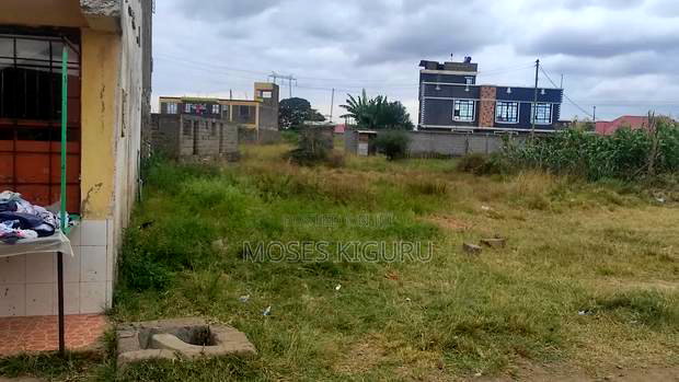 Murera, Ndarasha 40x60 Plot.