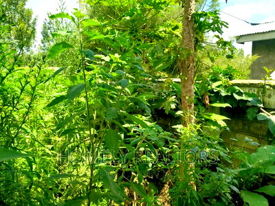 4bdrm Maisonette in Kahuho, Ongata, Rimpa for sale - Image 14