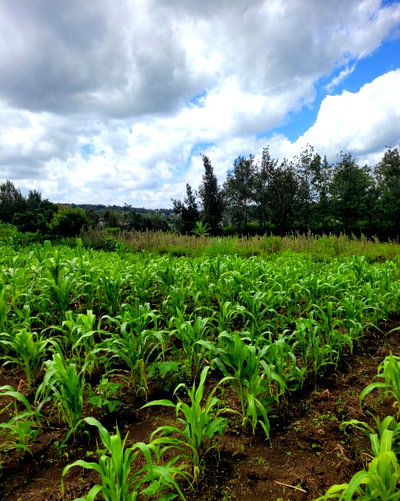 KSh 1.6M Plot in Kiserian