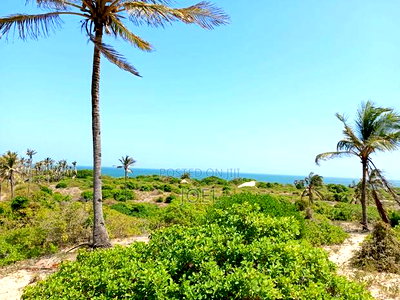 Malindi Mayungu Beach Plot 2 Acres - Image 2