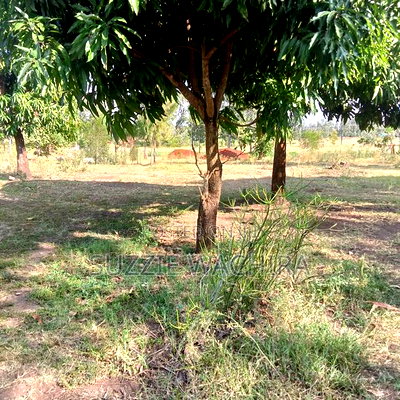 11/4 Acre Land at Kenol Kimorori for Sale in Muranga County - Image 3