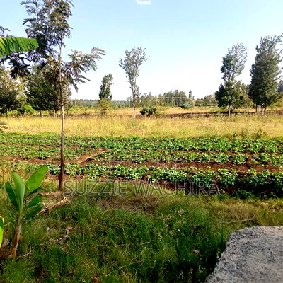 11/4 Acre Land at Kenol Kimorori for Sale in Muranga County - Image 5