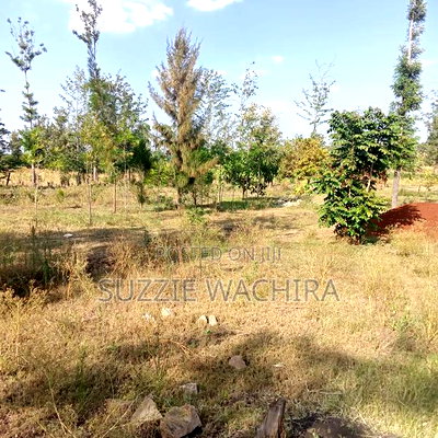 11/4 Acre Land at Kenol Kimorori for Sale in Muranga County - Image 7