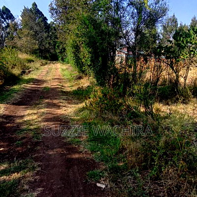 11/4 Acre Land at Kenol Kimorori for Sale in Muranga County - Image 2