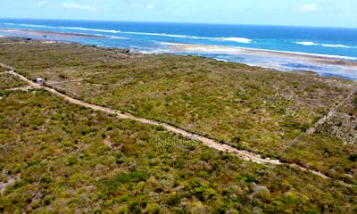 27.8 Acre Beachfront Plot for Sale in Kilifi Chumani - Image 1