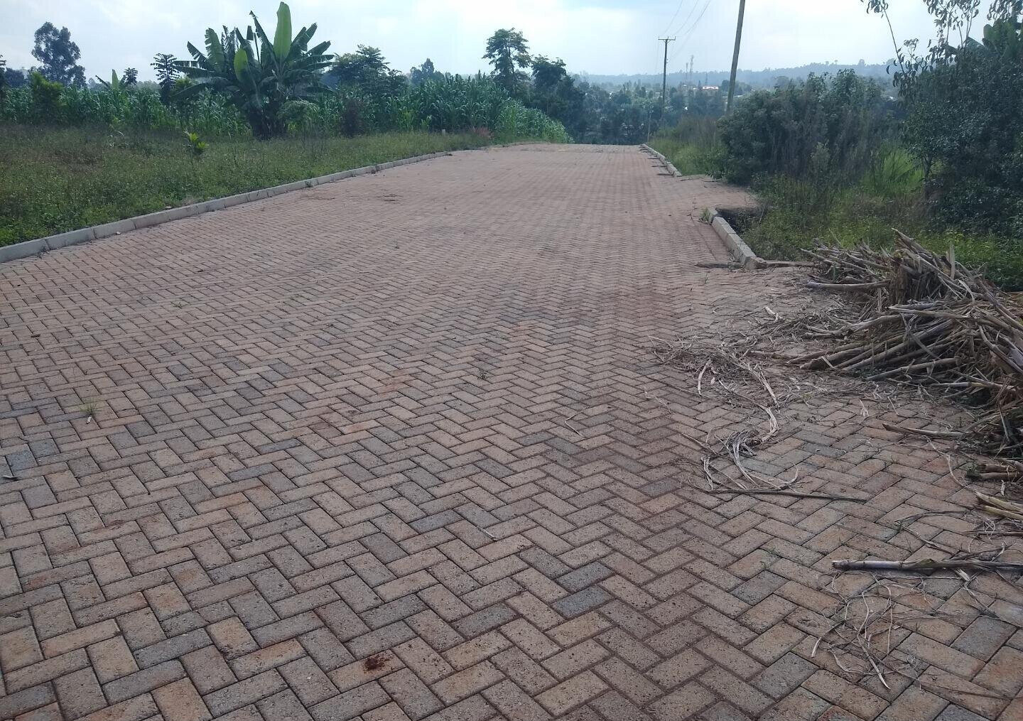 Half Acre Runda Plot at KSh 45M