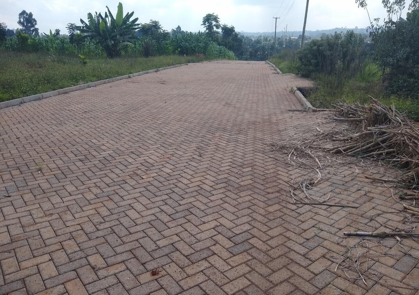 Half Acre Runda Plot at KSh 45M