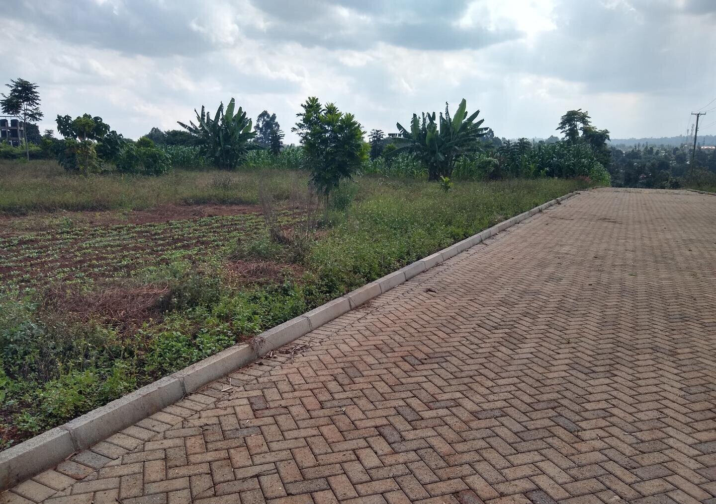 Half Acre Runda Plot at KSh 45M