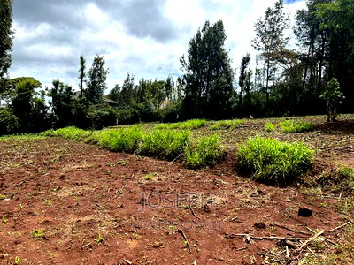 Ngong 1/2acre Redsoil - Image 8
