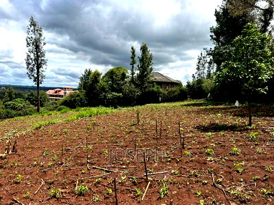 Ngong 1/2acre Redsoil - Image 6