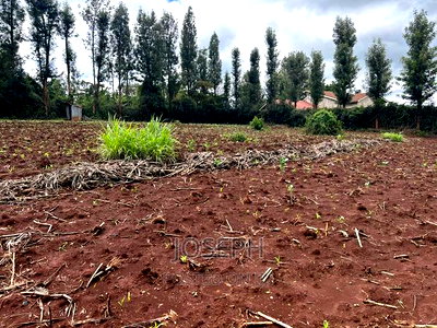 Ngong 1/2acre Redsoil - Image 3