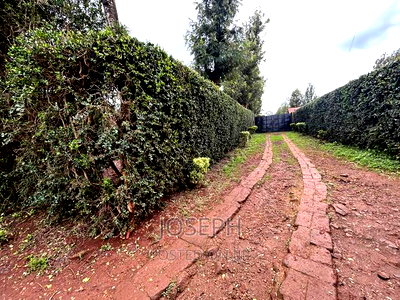 Ngong 1/2acre Redsoil - Image 10