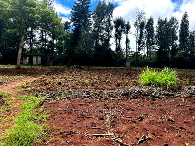 Ngong 1/2acre Redsoil - Image 9