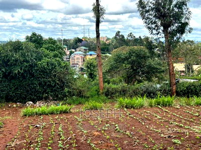 Ngong 1/2acre Redsoil - Image 5