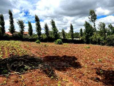 Ngong 1/2acre Redsoil - Image 4