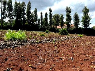 Ngong 1/2acre Redsoil - Image 7
