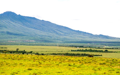 Garden Plot with Parking for KSh 429K
