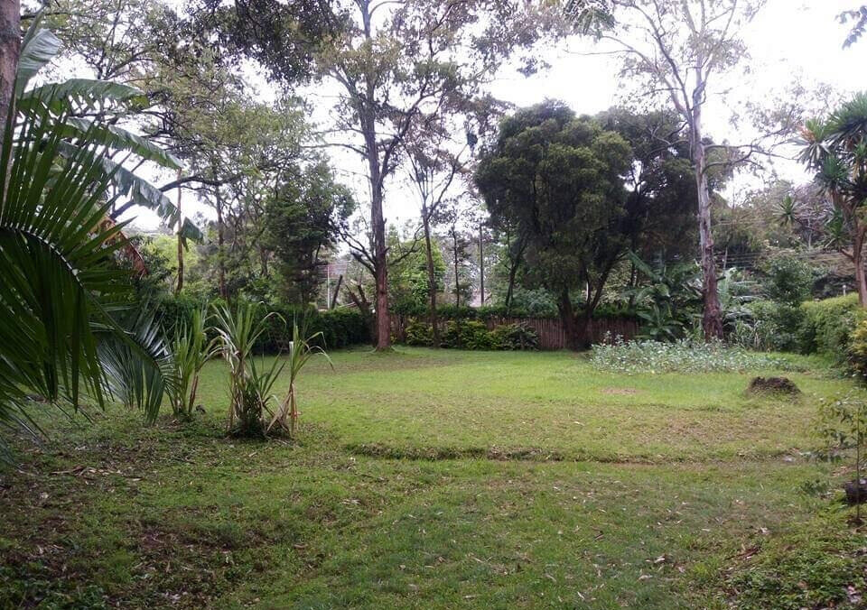 Garden Oasis at KSh 170K