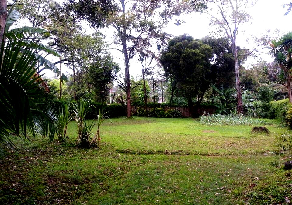 Garden Oasis at KSh 170K