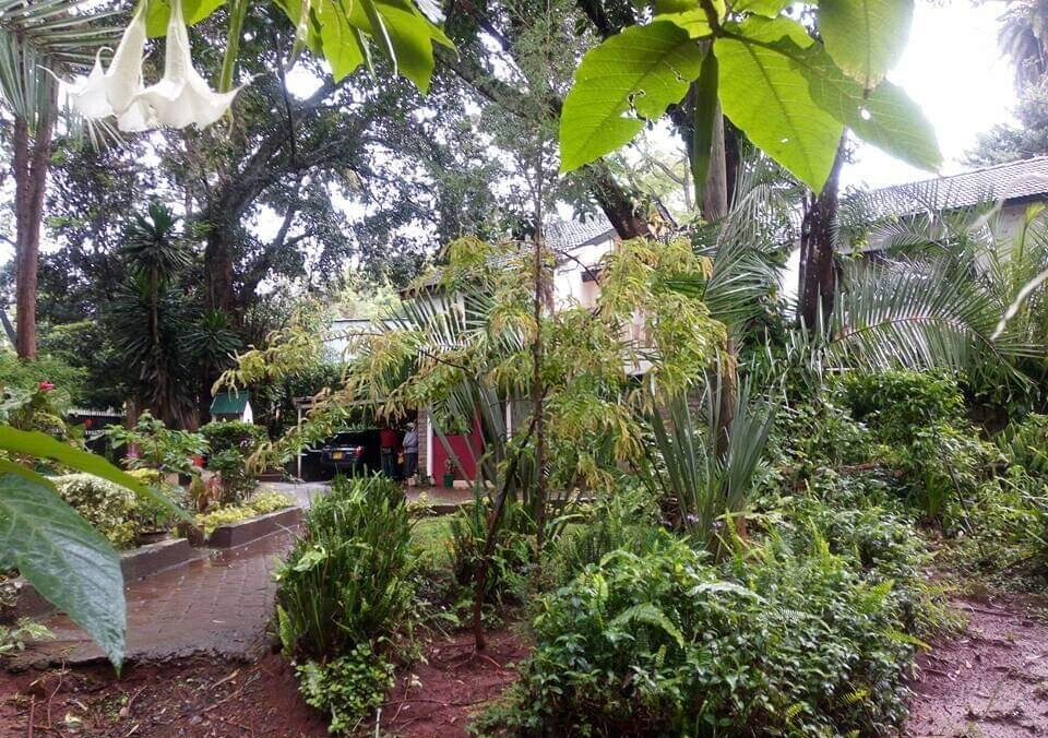 Garden Oasis at KSh 170K