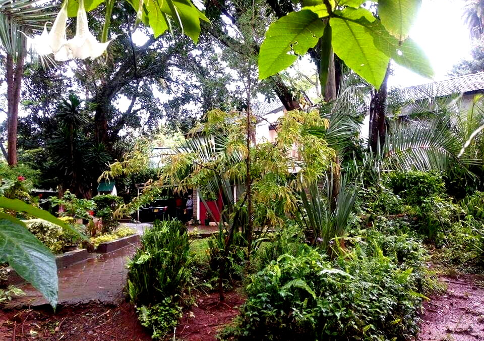 Garden Oasis at KSh 170K