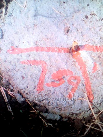 1/4 Plot for Sale in Kabarak - Image 2