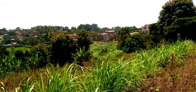 KSh 30M Quarter Acre in Kangemi
