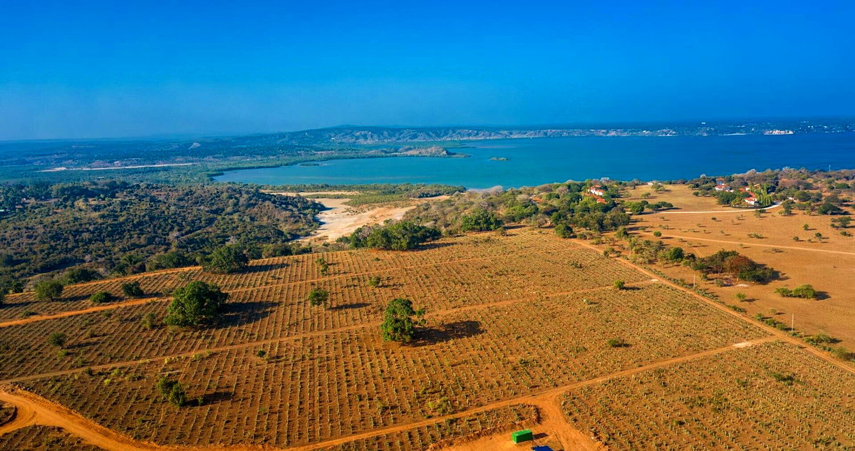Quarter Acre in Kilifi Creek