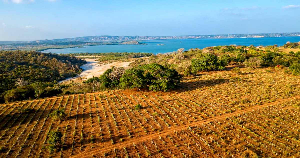Quarter Acre in Kilifi Creek
