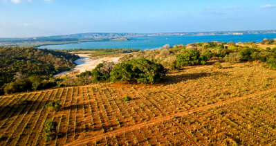 Quarter Acre in Kilifi Creek