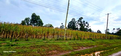 Prime 3/4 Plot for Sale in Royalton Eldoret - Image 1