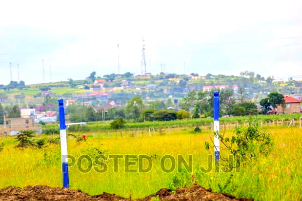 Unveiling New Malaa's 50 by 100 Plots