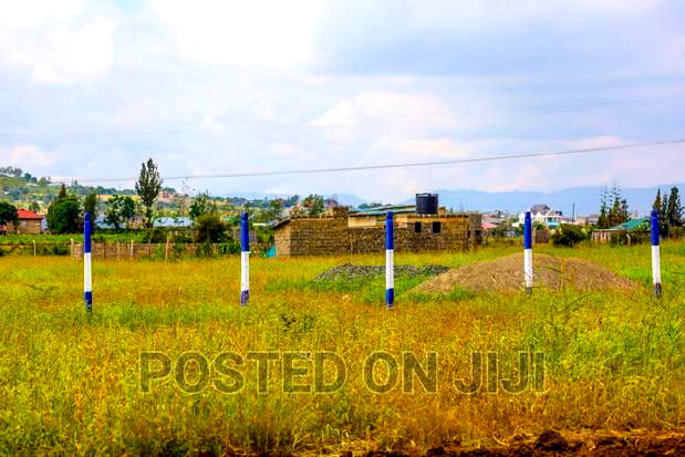 Unveiling New Malaa's 50 by 100 Plots