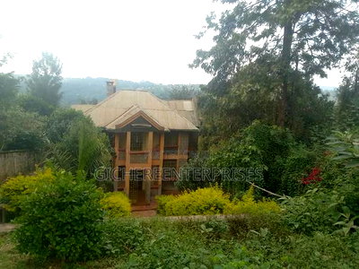 Nyeri Muruguru - Image 1