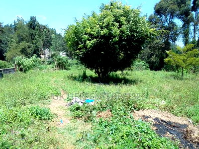 Nyeri Muruguru - Image 3