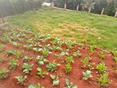 Nyeri Muruguru - Image 5