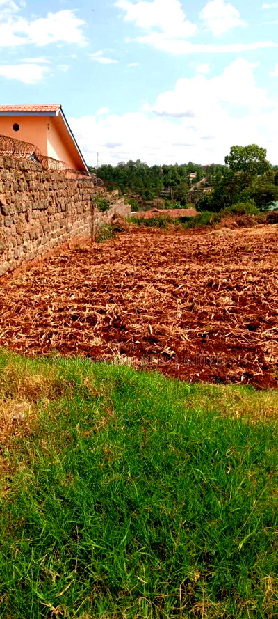 Land for Sale in Nyeri Town - Image 2