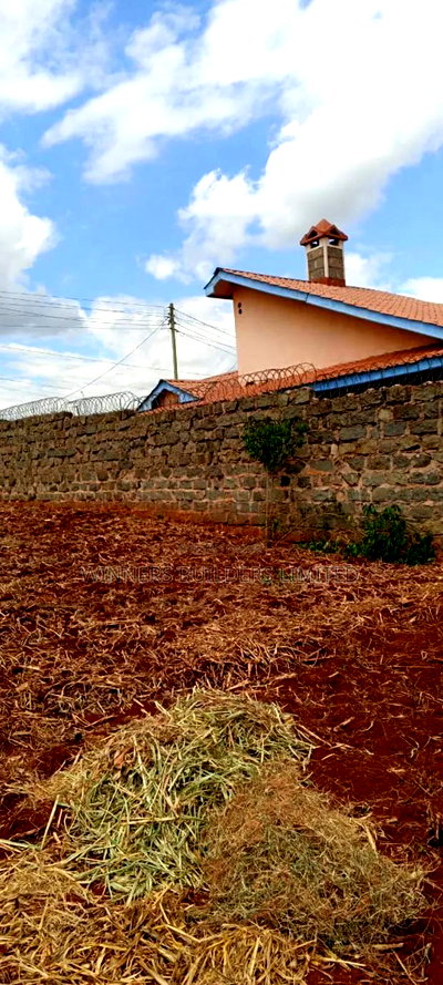 Land for Sale in Nyeri Town - Image 3
